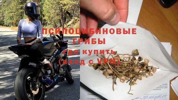 эйфоретик Аркадак