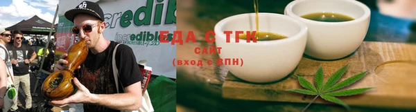 эйфоретик Аркадак