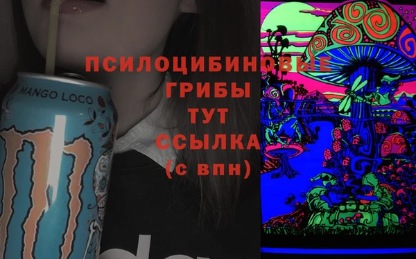 эйфоретик Аркадак