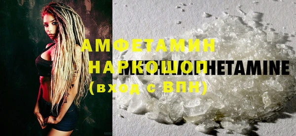 шишки Татарск